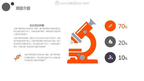 創(chuàng)意精品美味披薩美食專題 數(shù)字文化創(chuàng)意內(nèi)容應(yīng)用服務(wù)